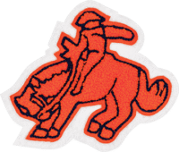 FFA Rodeo Bronco Rider 2803