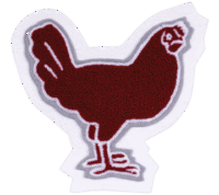 FFA Rodeo Chicken 2805